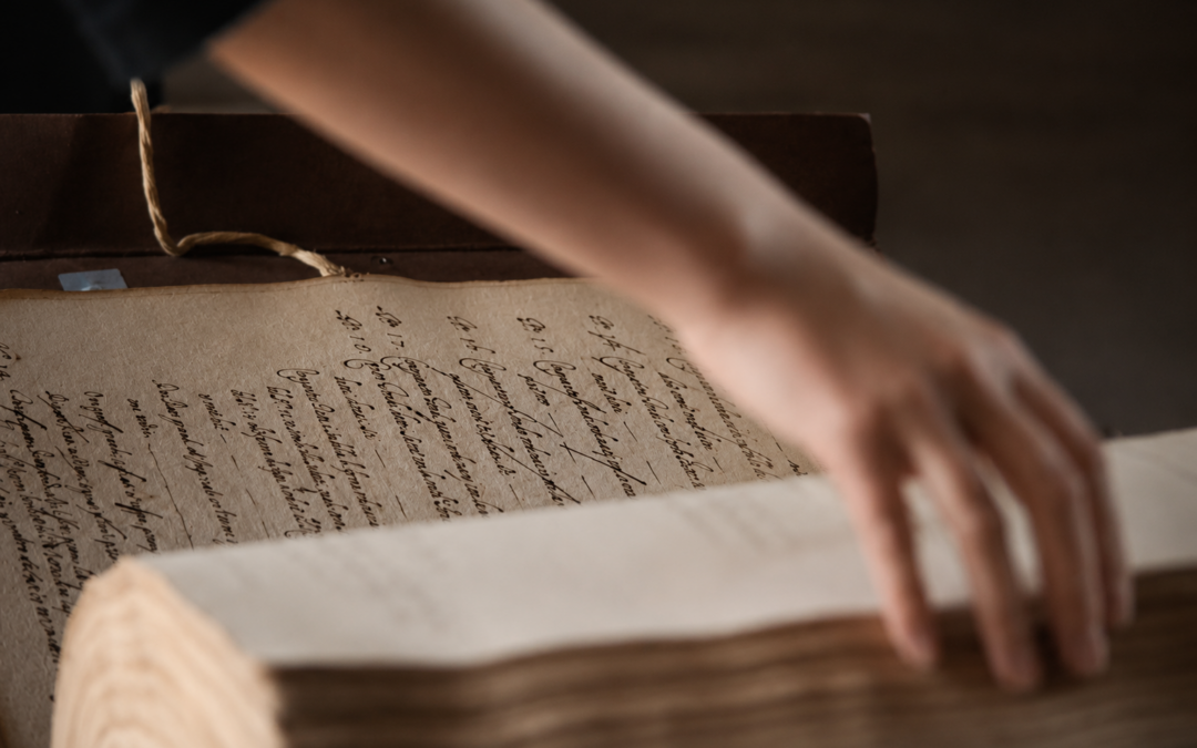Provenance Evidence Matrix: A Usable Research File